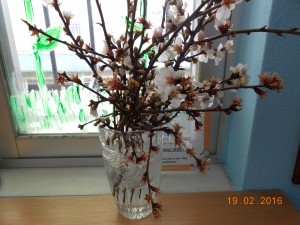 DSCN0340