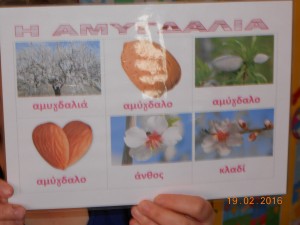 DSCN0349