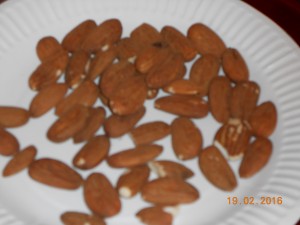 DSCN0351